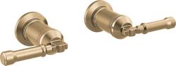 Wall Mount Faucet Handle Kit-Lever in Lumicoat&reg; Champagne Bronze