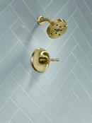 CCY 1.75 1HDL LEV SHWR TRIM CHBR 