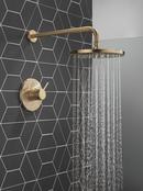 Delta Faucet Champagne Bronze One Handle Single Function Shower Faucet (Trim Only) 