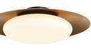 *CVR* ZINOLA LED FLUSH MOUNT 