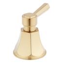 Lever Handle Trim in Brushed Gold