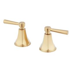 Lever Handle Trim in Brushed Gold