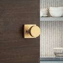 Pismo Half Dummy Knob with Square Rose in  Satin Brass 