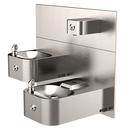 ADA Outdoor Dual Drinking Fountain & Bottle Filler 