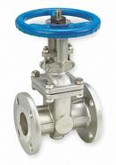 4 in. 150# RF FLG CF8M T10 Gate Valve PTFE Packing, API-603, Stainless Steel 316 Body, Trim 10, Bolted Bonnet
