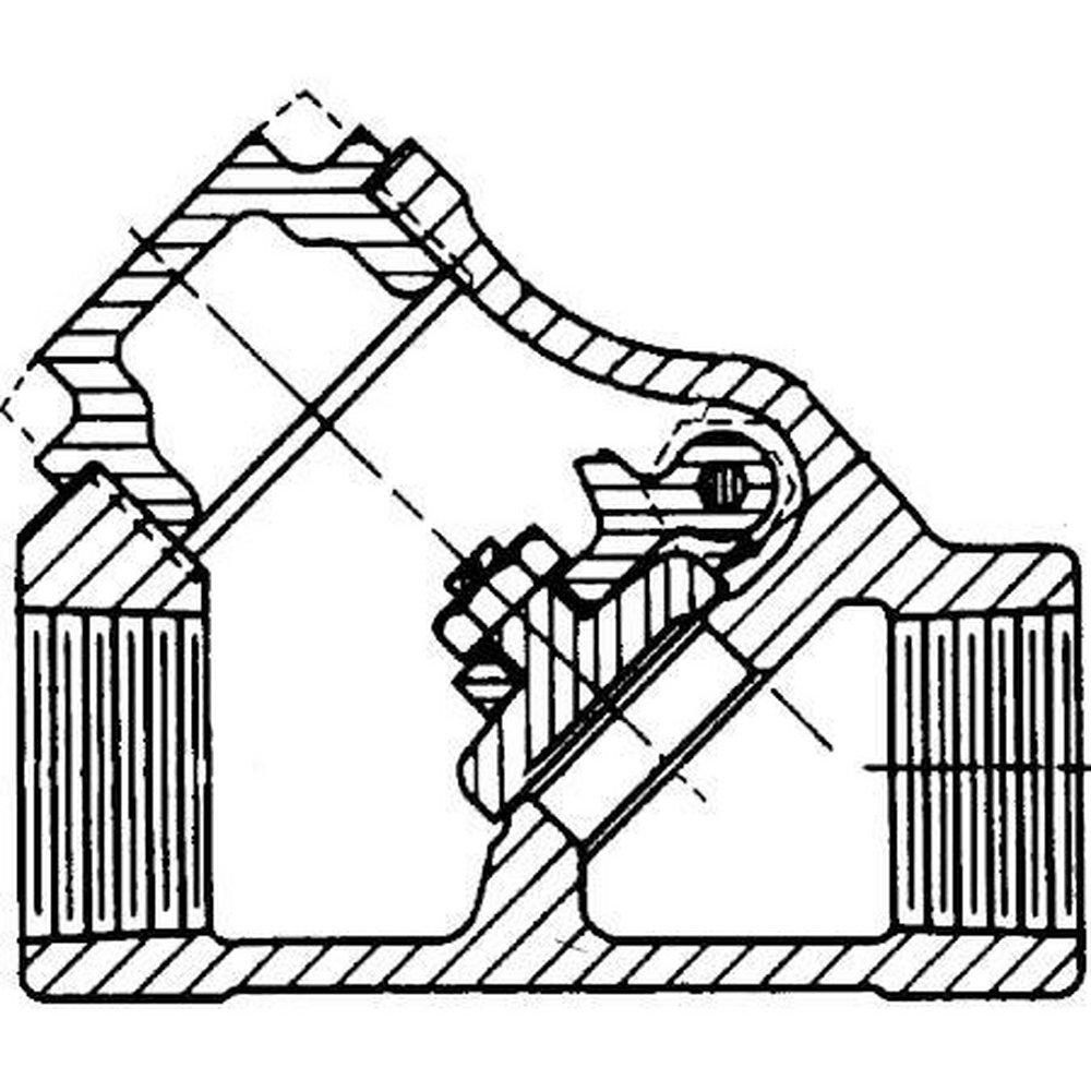 Crane Valve/Crane Energy Flow Sol Stainless Steel Threaded Swing Check Valve 