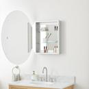 24 in. Medicine Cabinet with Mirror and Adjustable Shelves 