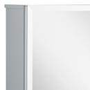 24 in. Medicine Cabinet with Mirror and Adjustable Shelves 