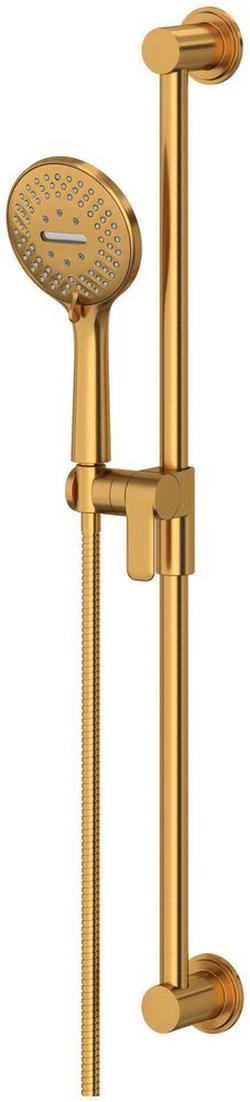 Multi Function Hand Shower in Brushed Gold