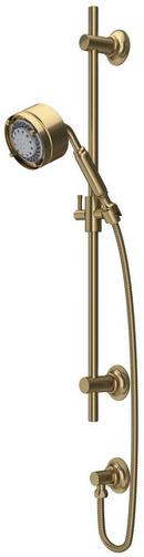 24 in. Shower Rail with Hand Shower in Antique 