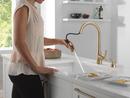 Single Handle Pull Down Kitchen Faucet with Soap Dispenser in Champagne Bronze 