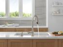 Single Handle Pull Down Kitchen Faucet with Soap Dispenser in SpotShield&reg; Stainless 