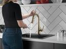 Delta Faucet Champagne Bronze Single Handle Pull Down Bar Faucet 