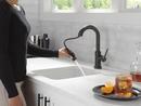 Delta Faucet Matte Black Single Handle Pull Down Bar Faucet 