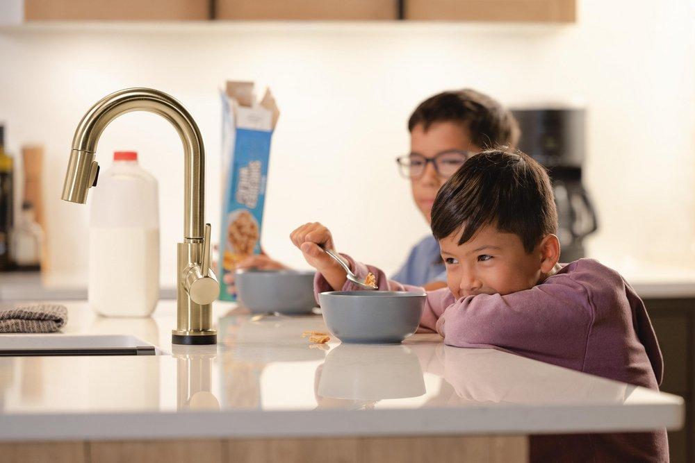 Delta Faucet Champagne Bronze Single Handle Pull Down Bar Faucet 