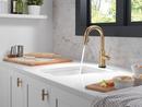 Delta Faucet Champagne Bronze Single Handle Pull Down Bar Faucet 