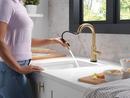 Delta Faucet Champagne Bronze Single Handle Pull Down Bar Faucet 