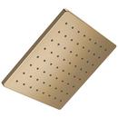 Single Function Showerhead in Champagne® Bronze