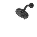 Multi Function Showerhead in Spot Defense Matte Black