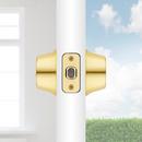 665 Deadbolt  Keyed Both Sides  with SmartKey Security in Polished Brass 