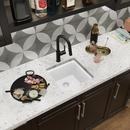 Elkay Arctic Fox 15-3/4 x 15-3/4 in. Dual Mount Quartz Bar Sink 