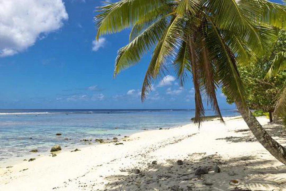 Beach Walk 850 ml fragrance oil for ScentBeat 