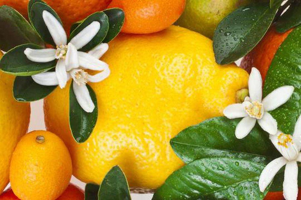 Citrus Blend 850 ml fragrance oil 