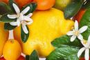 Citrus Blend 850 ml fragrance oil 