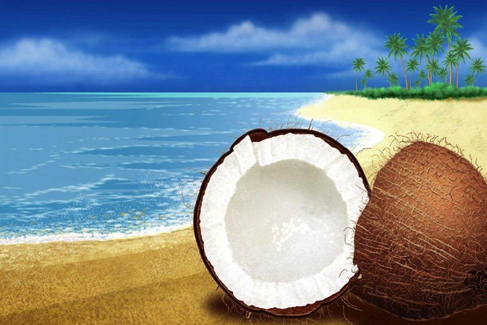 Coconut Beach 850 ml fragrance oil 