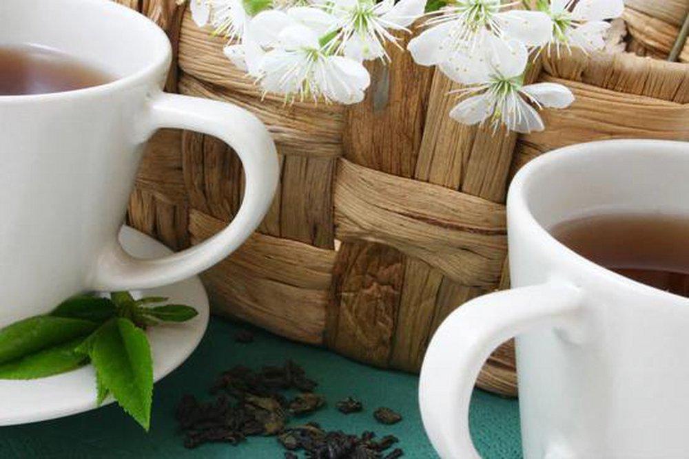 Green Tea 850 ml fragrance oil for ScentBeat 