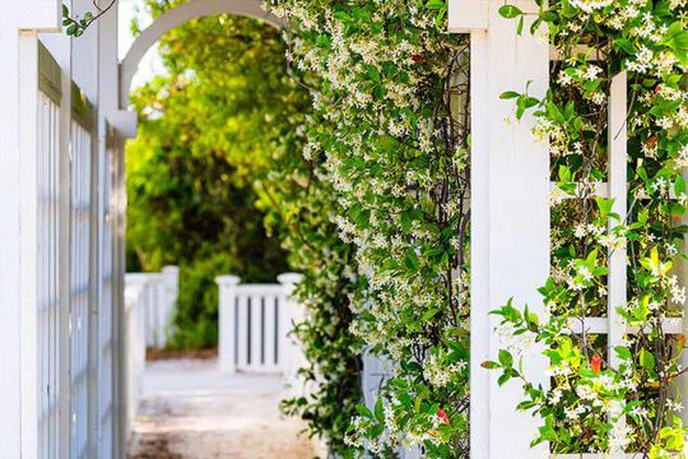 Mediterranean Trellis 850 ml fragrance oil for ScentBeat 