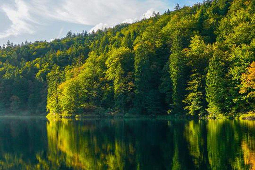 Northern Lake Air 850 ml fragrance oil for ScentBeat 