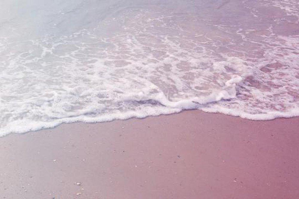 Pink Sands 850 ml fragrance oil for ScentBeat 