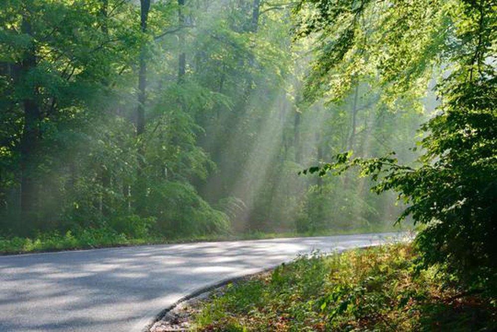 Sapphire Rain 150 ml fragrance oil for ScentBeat 