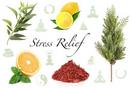 Stress Relief 150 ml fragrance oil for ScentBeat 