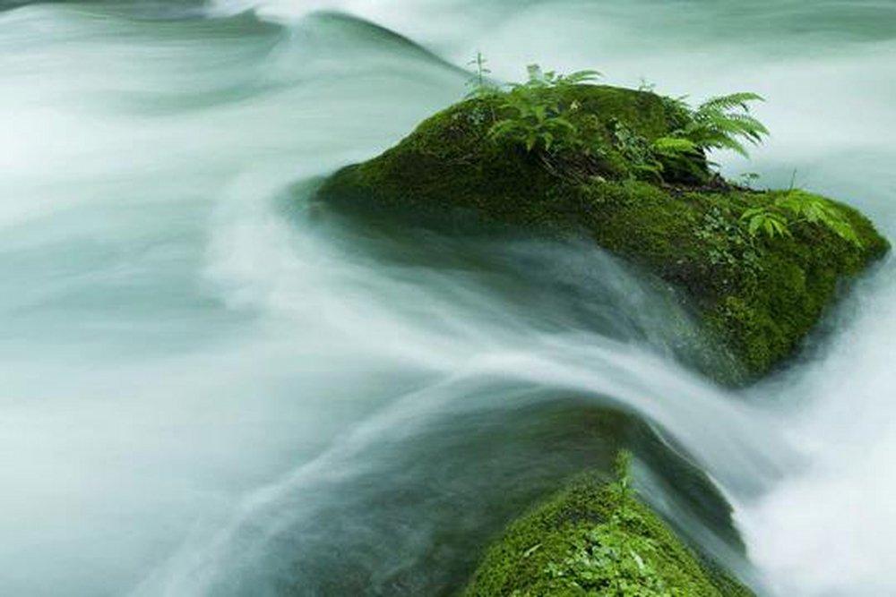 Tranquil 150 ml fragrance oil for ScentBeat 