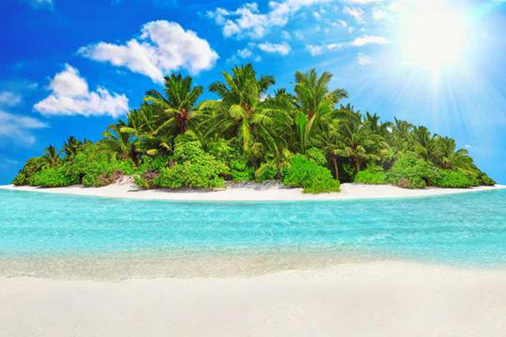 Tropical Paradise 150 ml fragrance oil for ScentBeat 