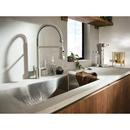 SPOT RESIST STAINLESS ONE-HANDLE HIGH ARC FILTERING PULLDOWN KITCHEN FAUCET 