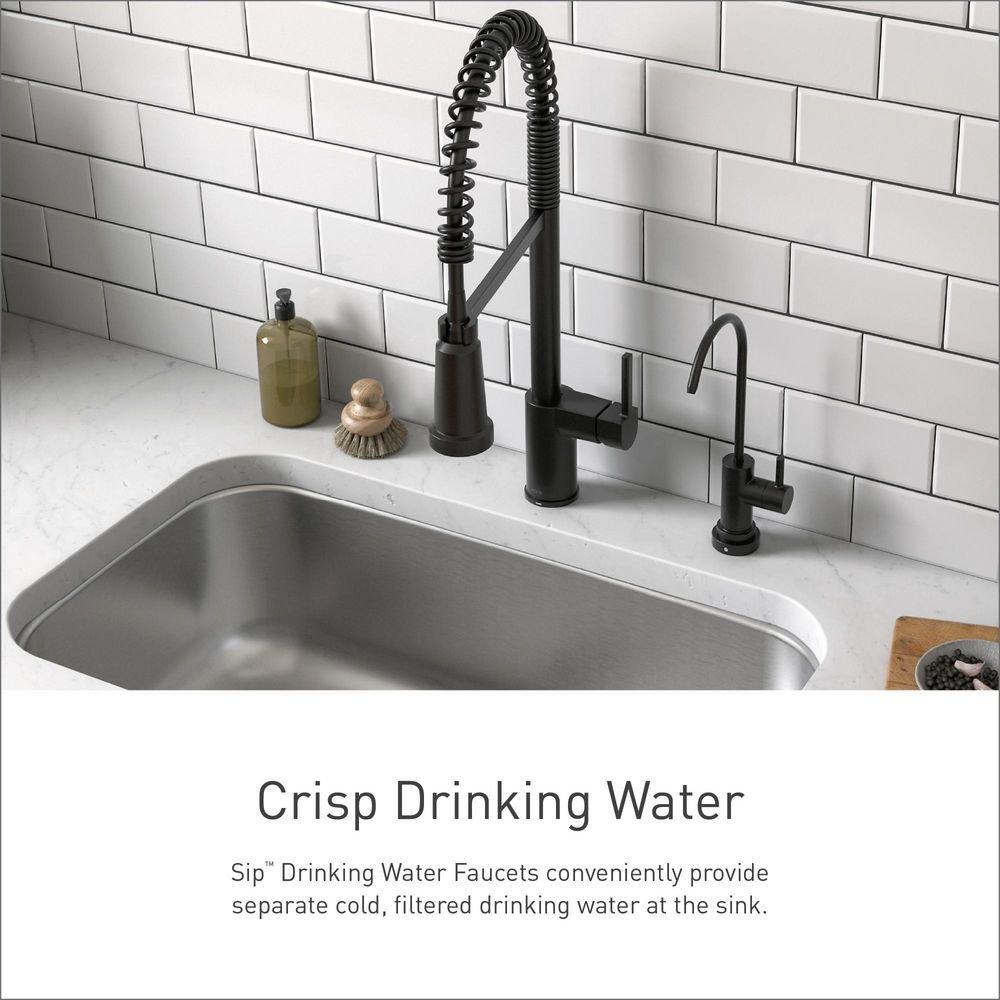 Moen Spot Resist Stainless Single Handle Water Filter Faucet 