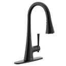 MATTE BLACK ONE-HANDLE PULLDOWN KITCHEN FAUCET 