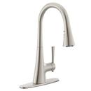 Single Handle Pull Down Kitchen Faucet in Spot Resist Stainless 
