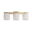 21.5in. 180W 3-Lights E26 Vanity Fixture in Natural Aged Brass