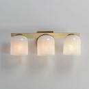 21.5in. 180W 3-Lights E26 Vanity Fixture in Natural Aged Brass 
