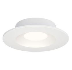 Utility Ceiling Light in White Finish