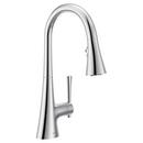 CHROME FILTRATION ONE-HANDLE PULLDOWN KITCHEN FAUCET 