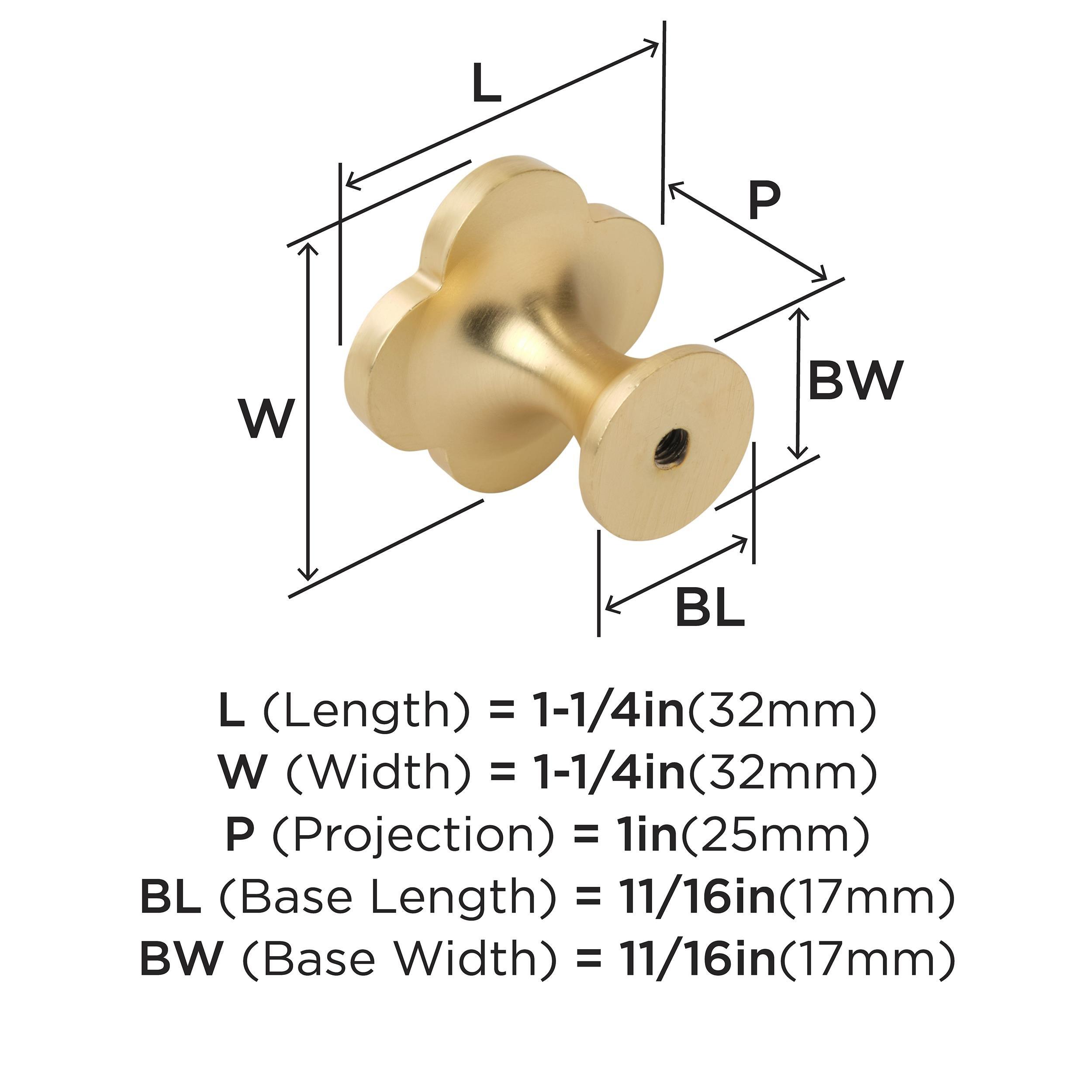 Amerock Gold 1-1/4 in. Knob (Pack of 2) 