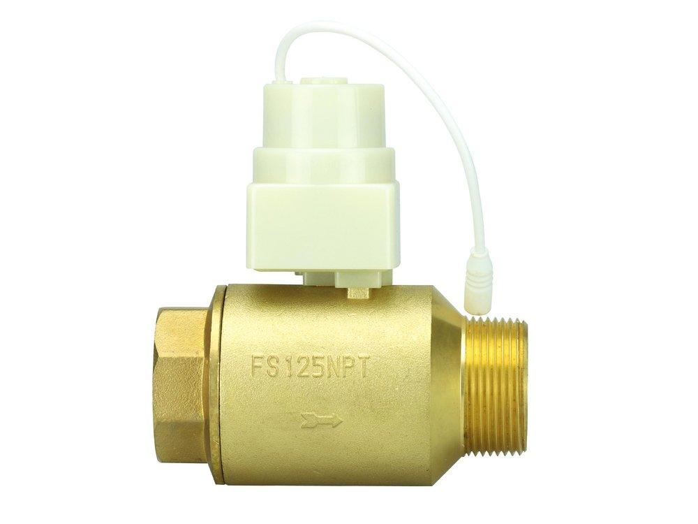 FS 1-1/4 NPT MIP X FIP VLV ONLY 