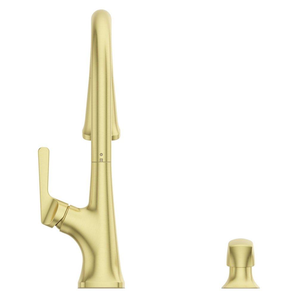 Single Handle Pull Down Kitchen Faucet in Brushed Gold 