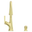 Single Handle Pull Down Kitchen Faucet in Brushed Gold 