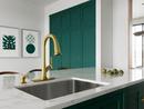 Single Handle Pull Down Kitchen Faucet in Brushed Gold 